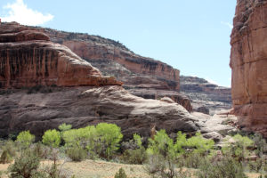 Grand Gulch, UT.
